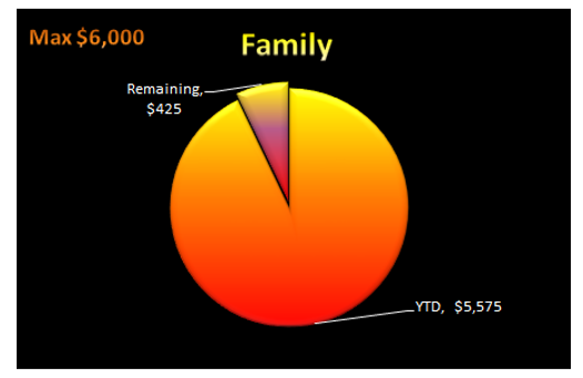 Pie chart showing in network deductible spent and remaining